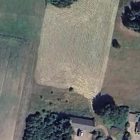 Chester's Field Kemp