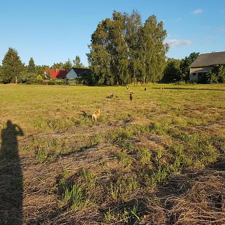 Chester's Field