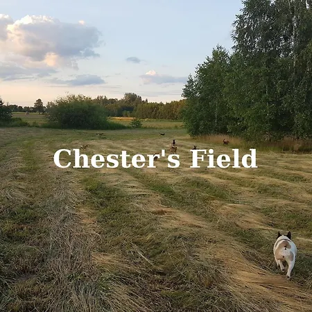 Chester's Field *