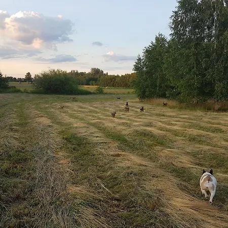 Chester's Field Komorow (Warsaw West)
